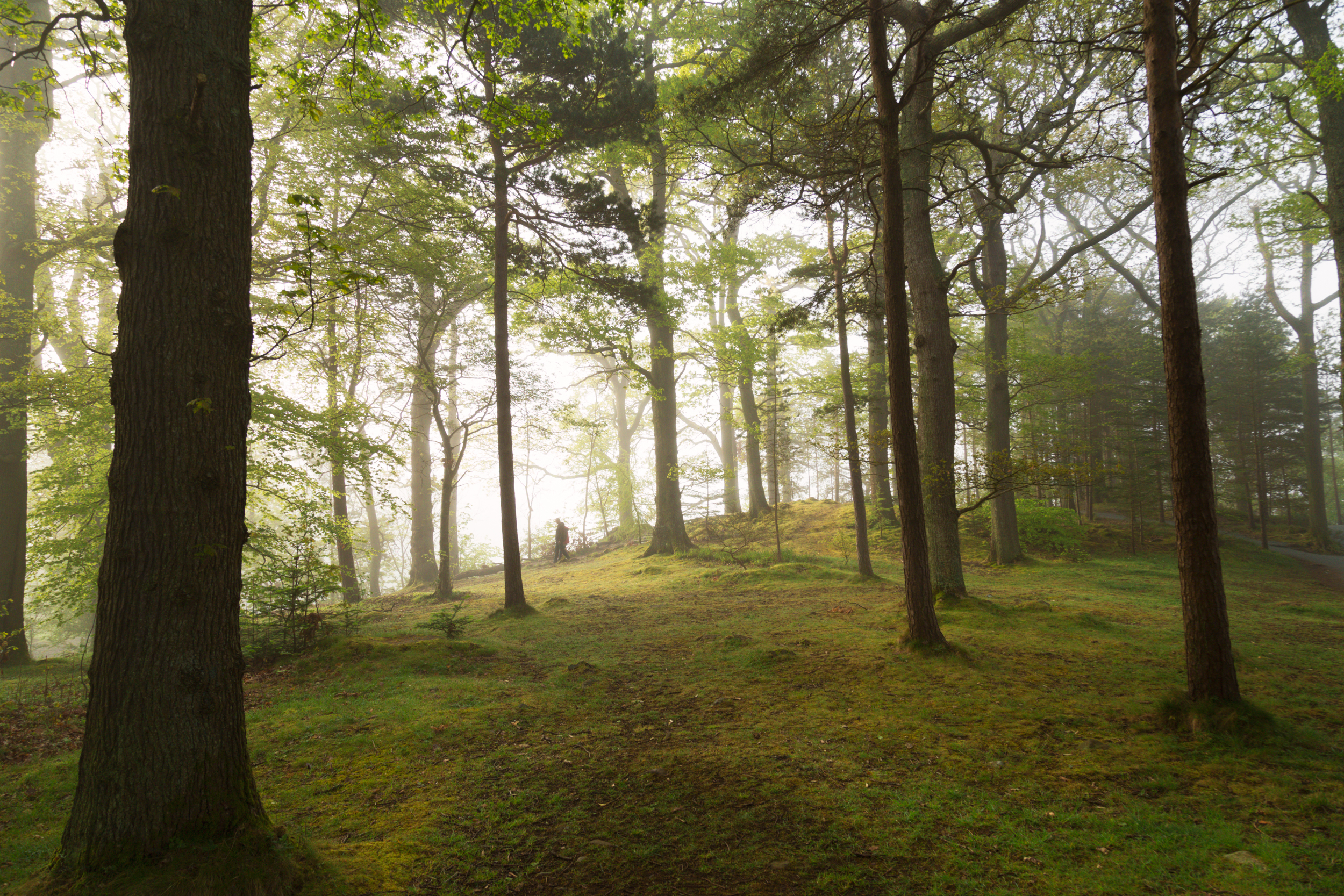 Morning walk at Friars Cragg