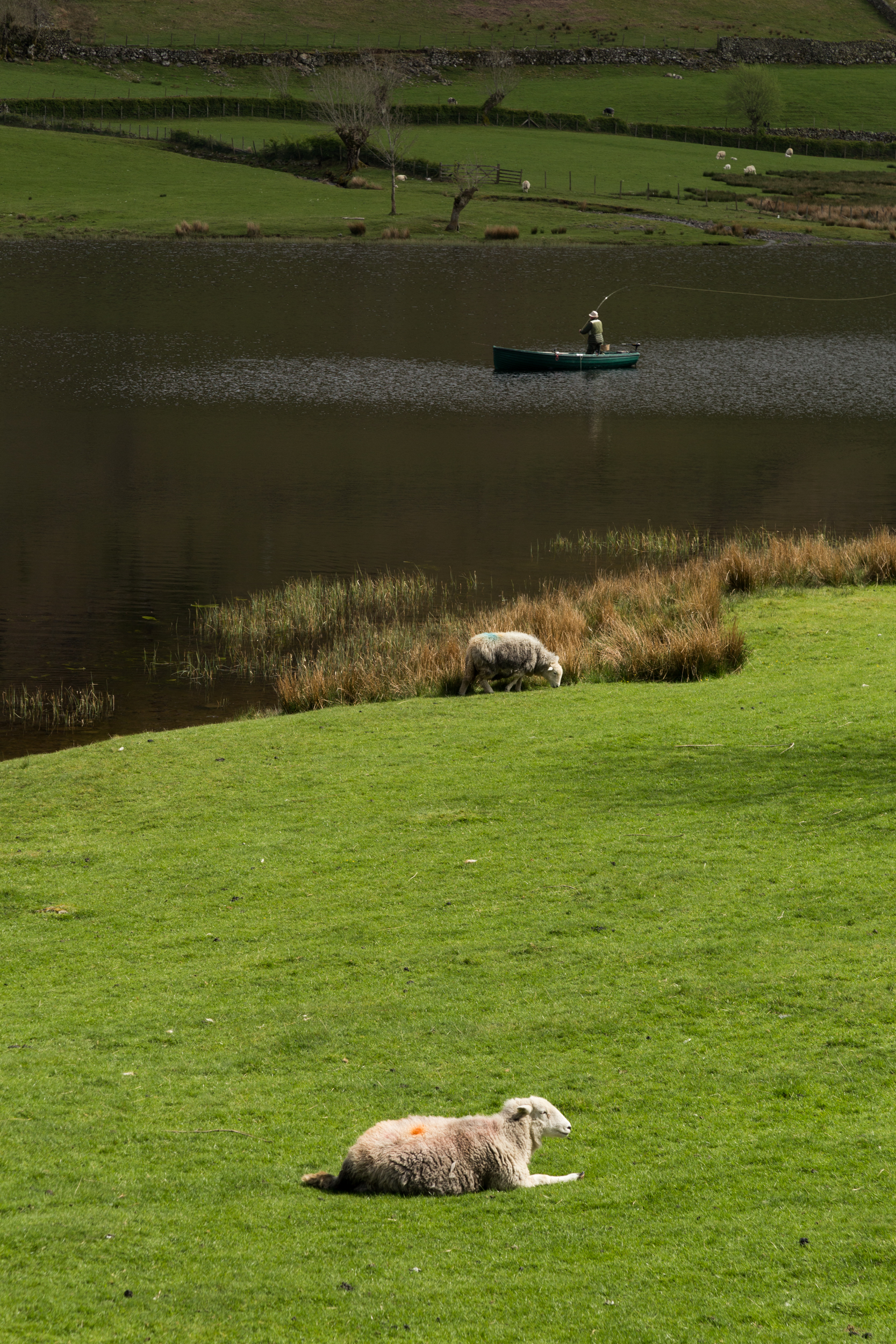 Watendlath tarn