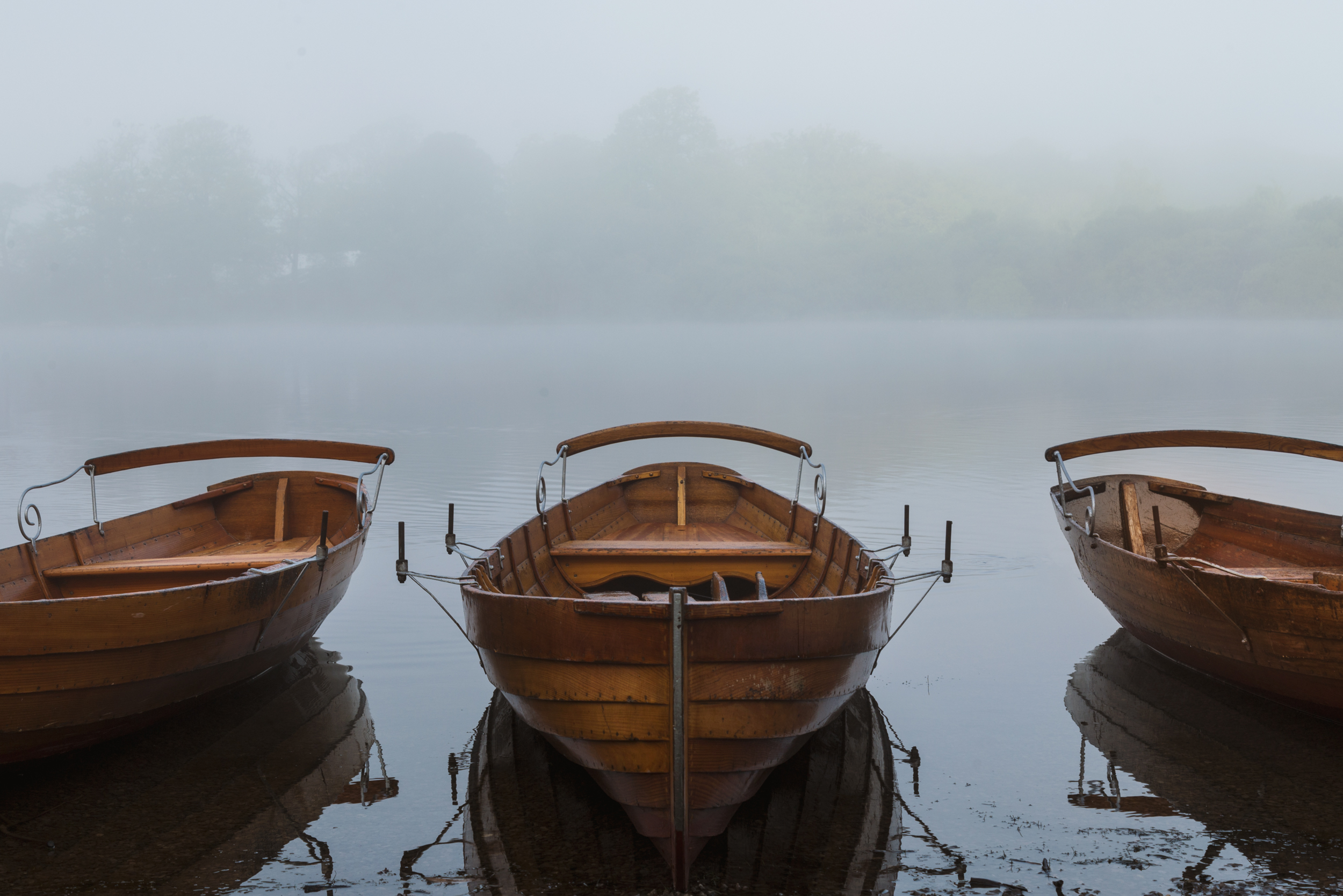 Lakeshore, Derwent Water