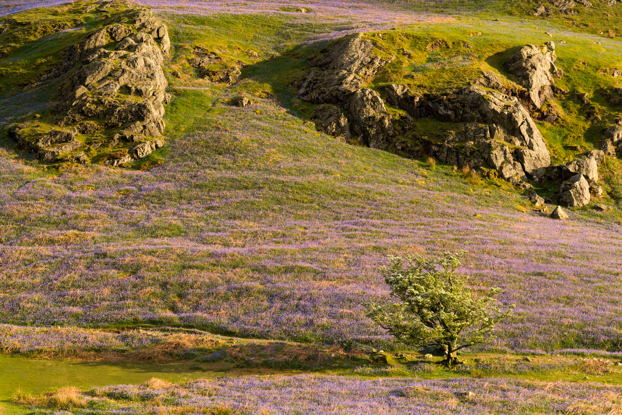 Rannerdale