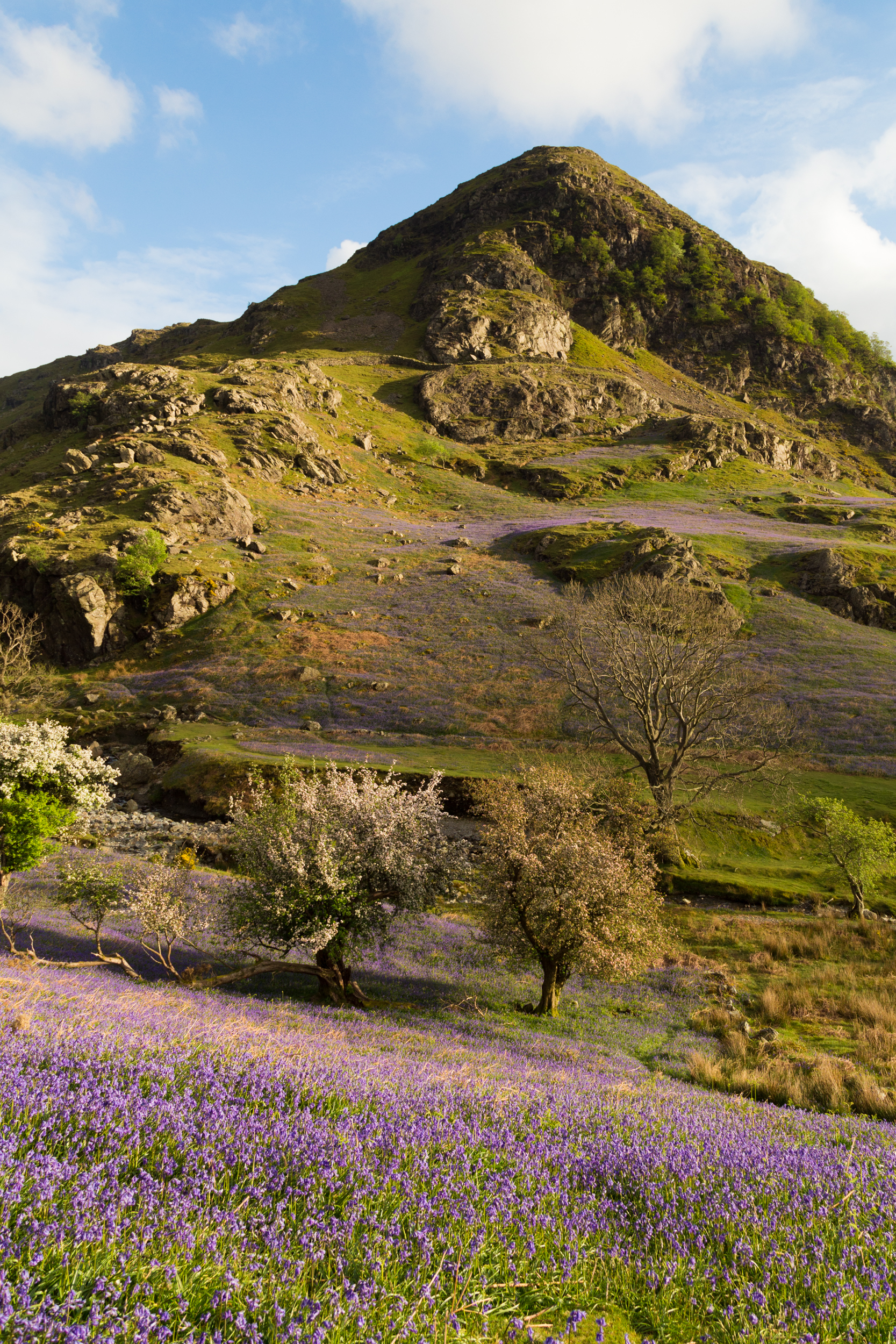 Rannerdale