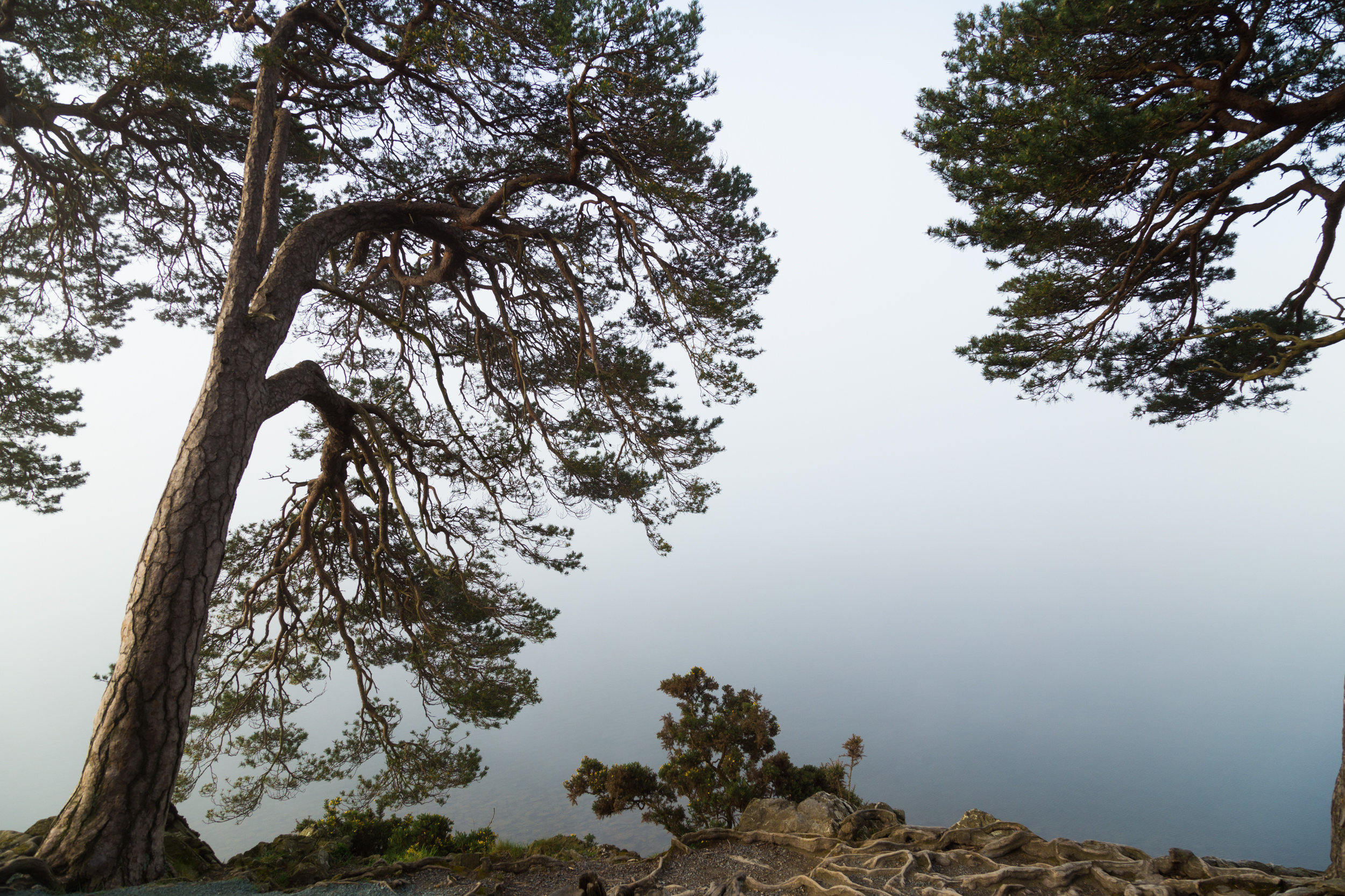 Friars Cragg point of view