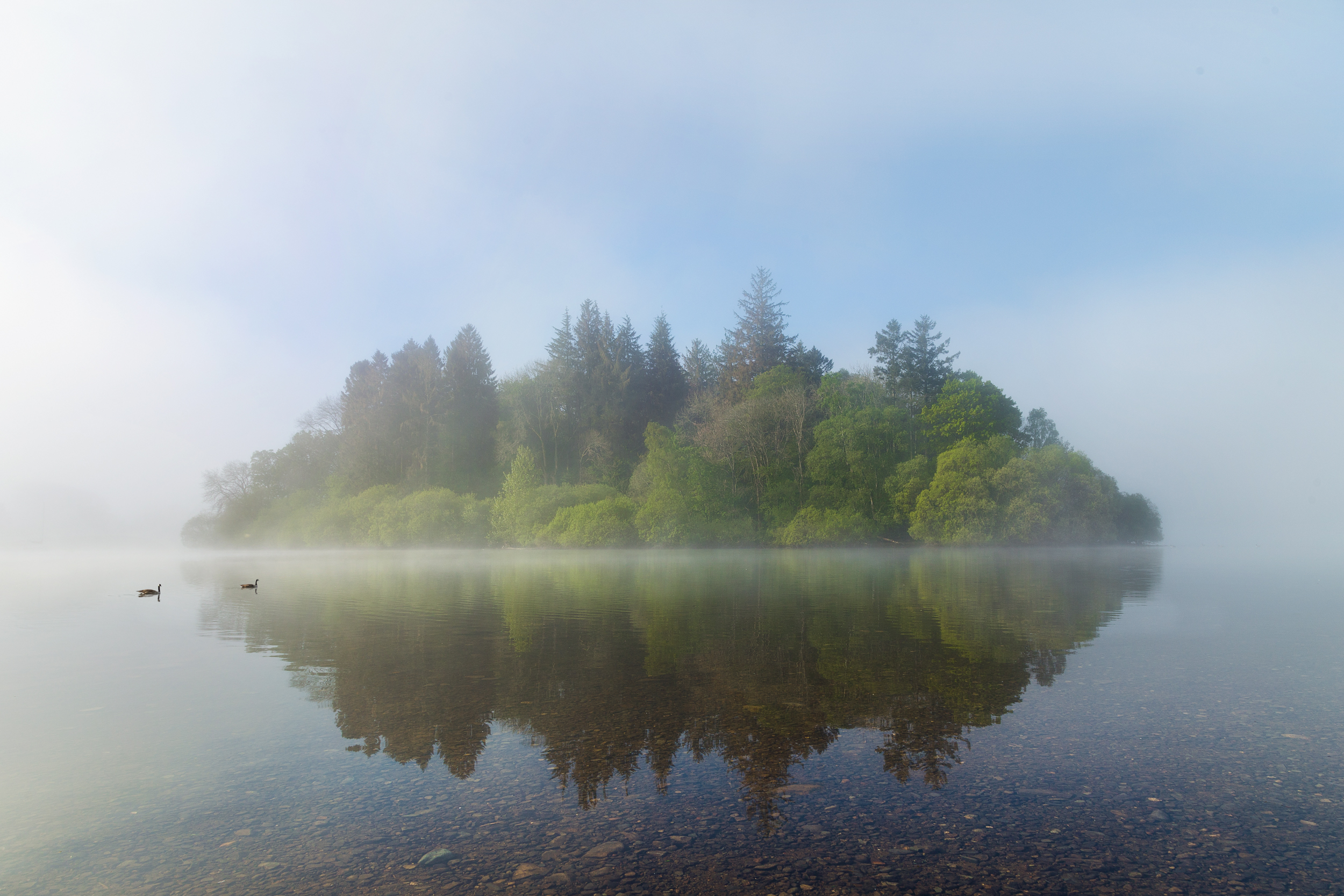 Lord's isle, Derwent water