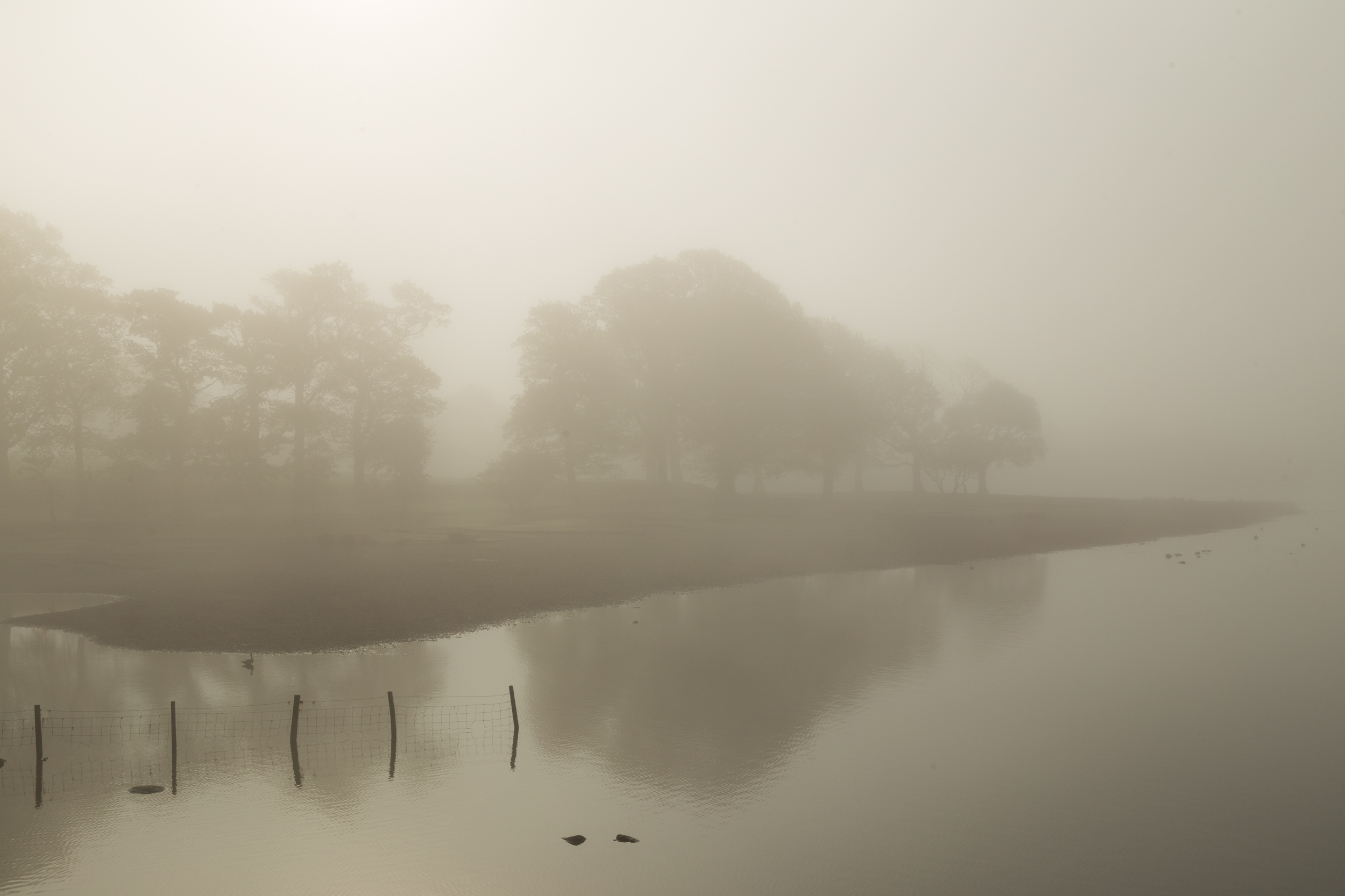 Lakeside, Derwent Water