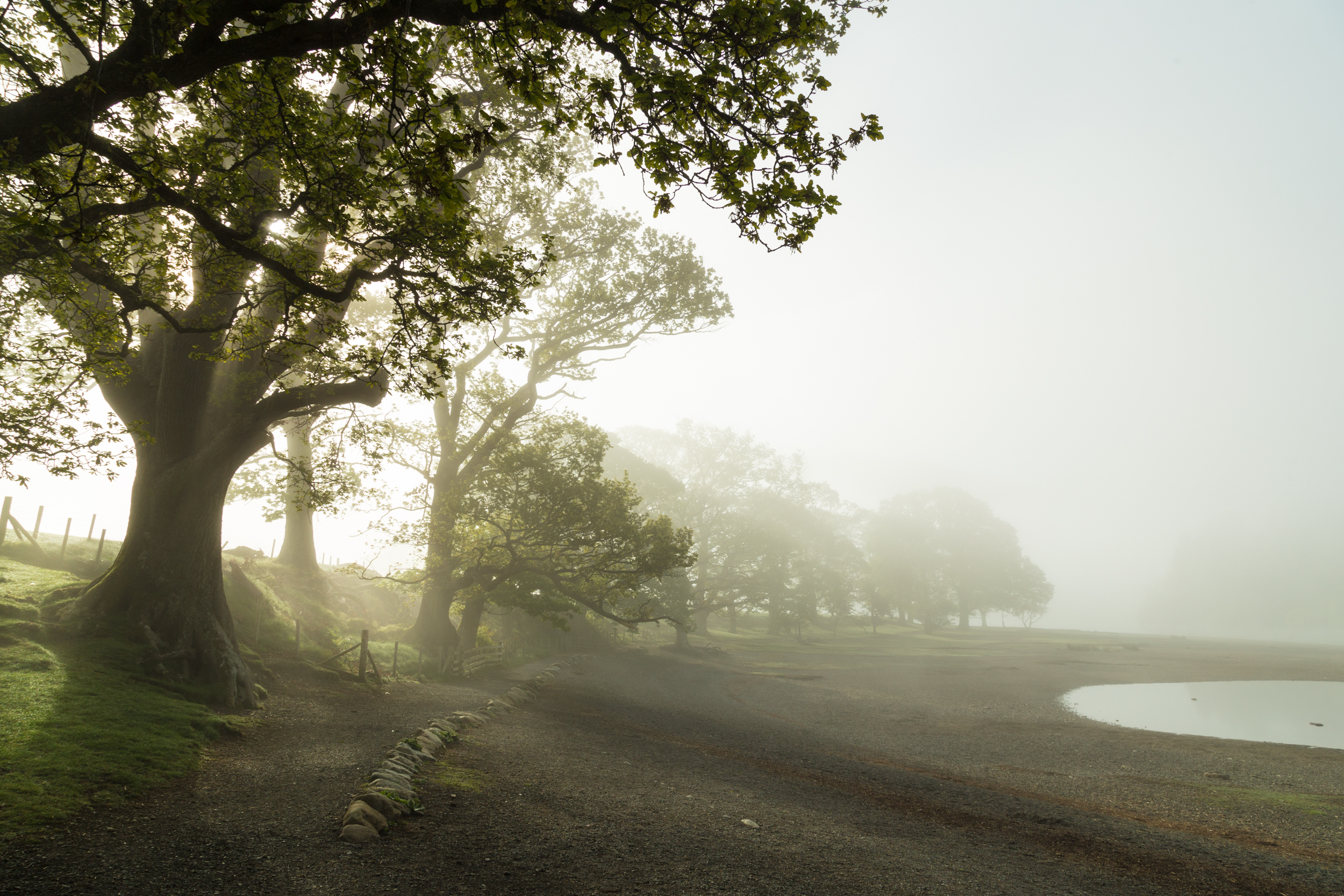 Earling morning on the Derwent water.